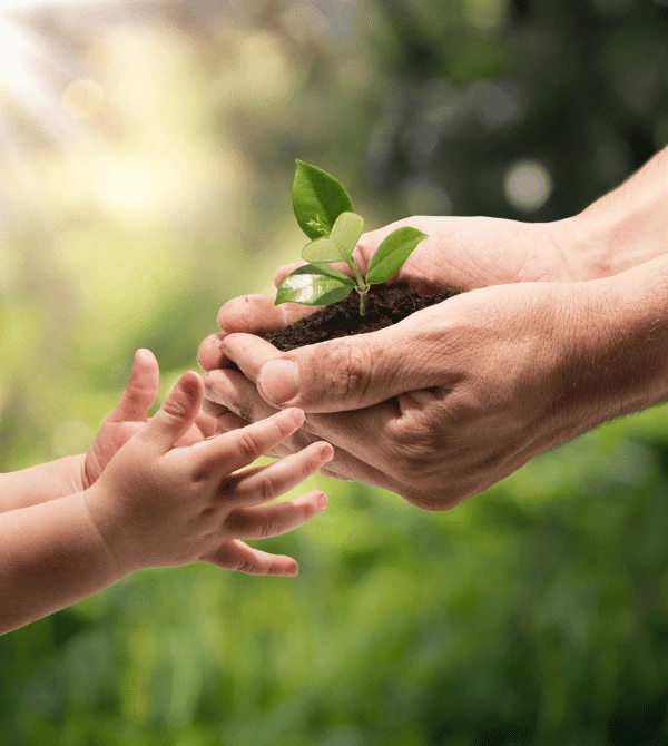 Hands of a gardener passing a flower to the tiny hands of a child.