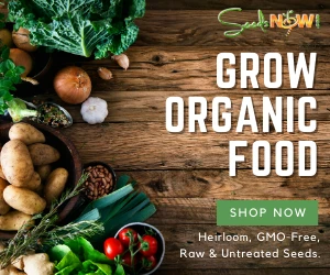 Grow Organic Food, Shop the SeedsNow Collection