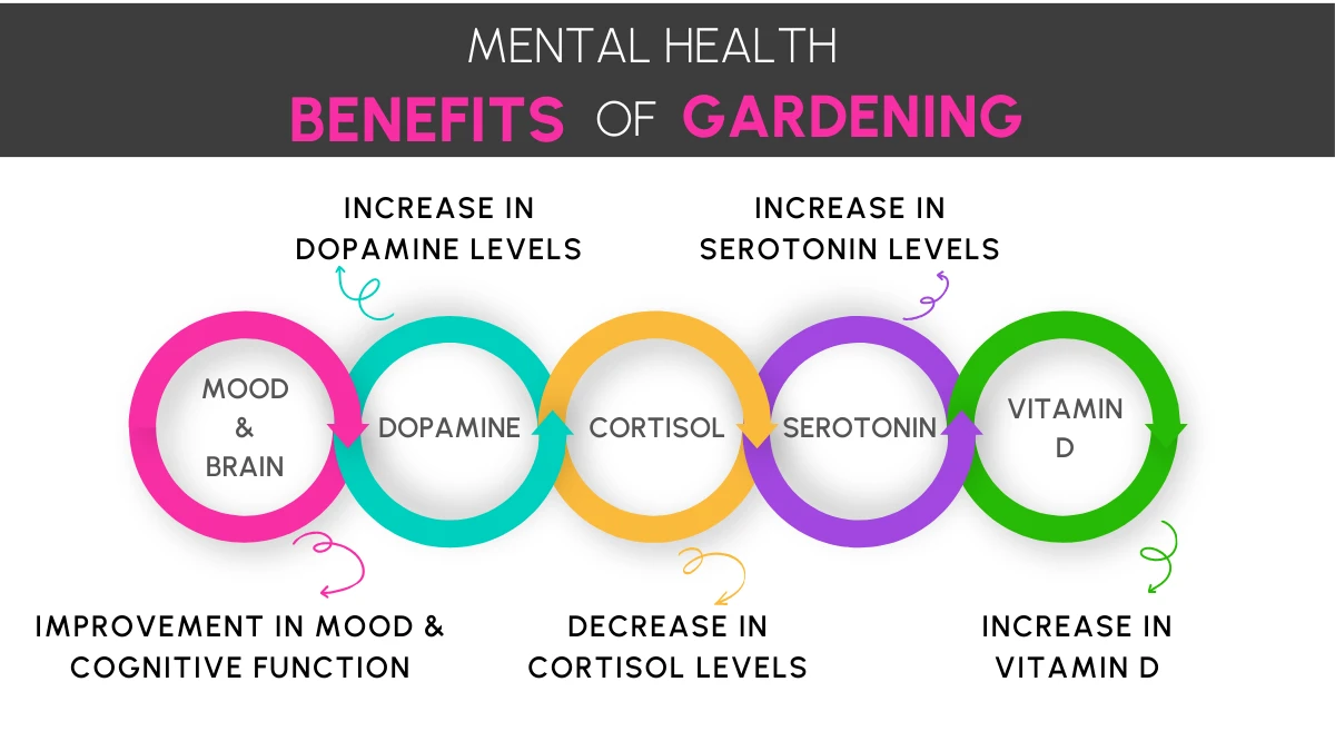 Mental Health Benefits of Gardening