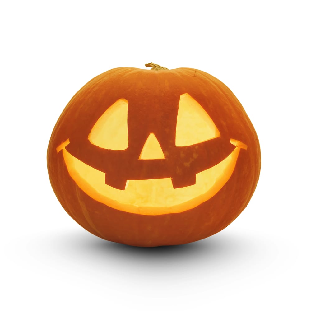 Fall Pumpkin